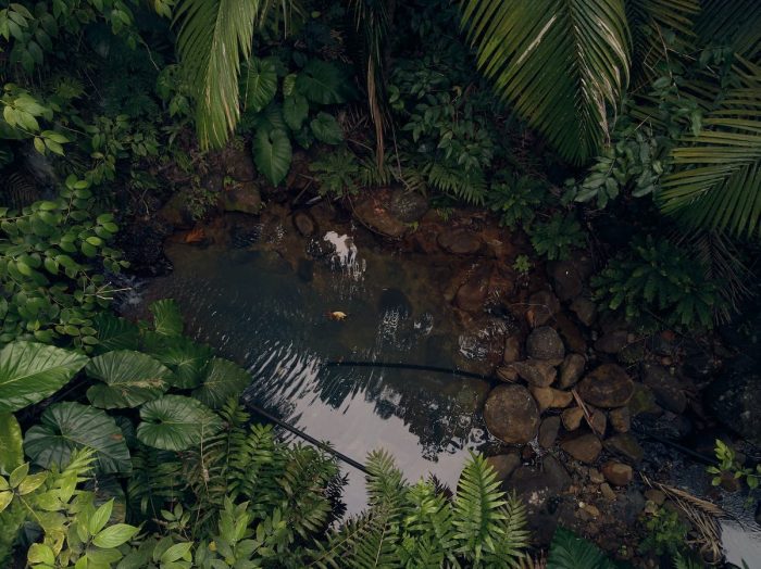 Les secrets de la saison des pluies en Guadeloupe : tout ce que vous devez savoir !